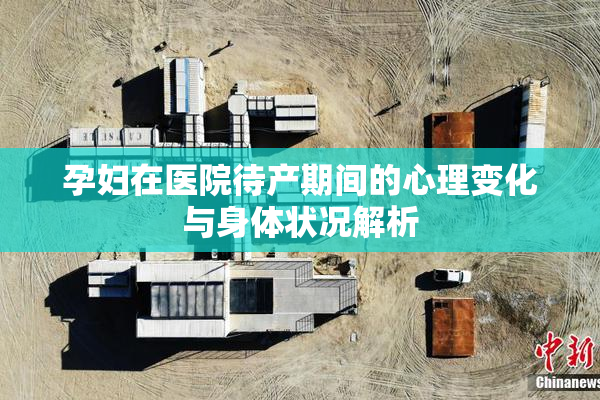 孕妇在医院待产期间的心理变化与身体状况解析