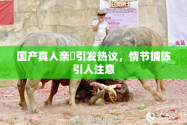 国产真人亲妺引发热议，情节铺陈引人注意