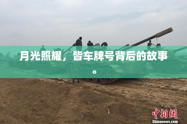 月光照耀，皆车牌号背后的故事。
