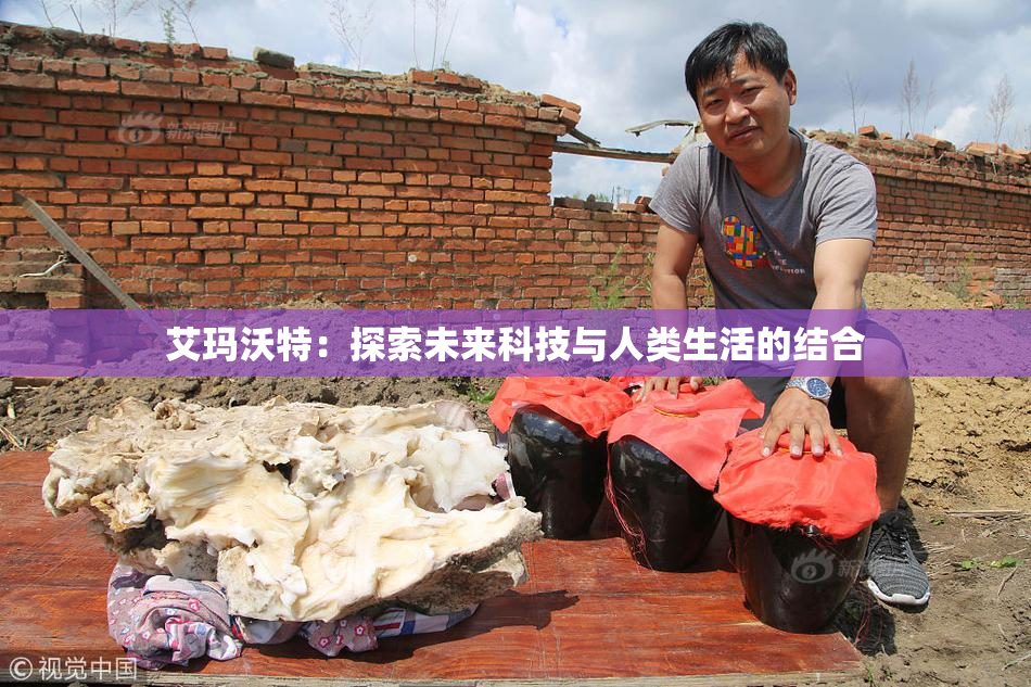 艾玛沃特：探索未来科技与人类生活的结合