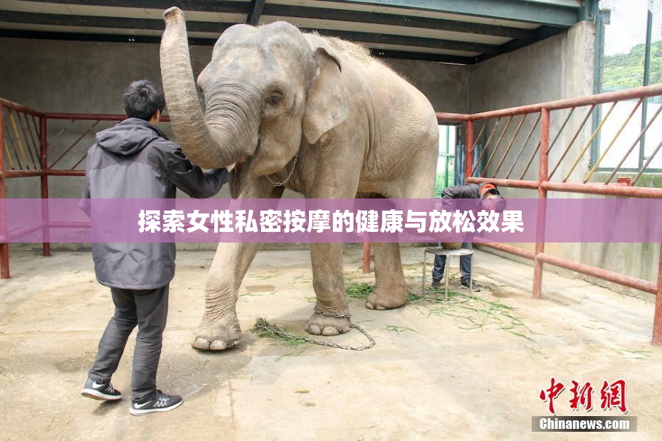 探索女性私密按摩的健康与放松效果