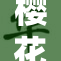 樱花盛开，粉色花海如画卷般绚丽高清展现