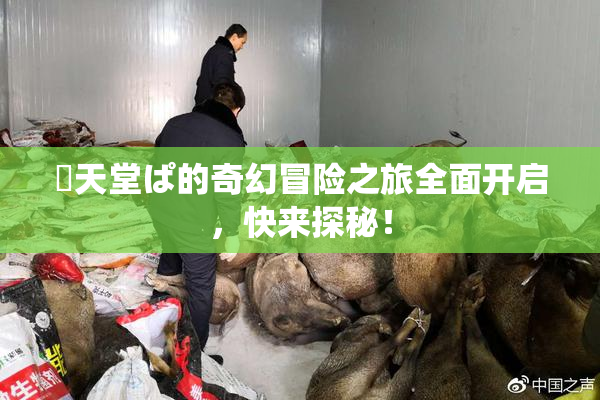 妺天堂ぱ的奇幻冒险之旅全面开启，快来探秘！