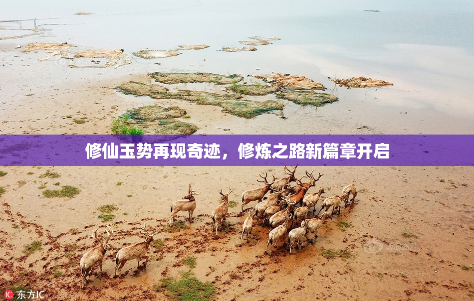 修仙玉势再现奇迹，修炼之路新篇章开启