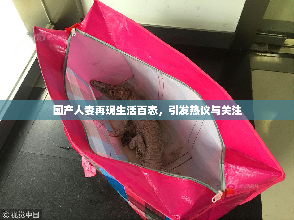 国产人妻再现生活百态，引发热议与关注