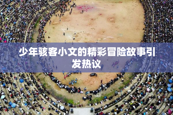 少年骇客小文的精彩冒险故事引发热议