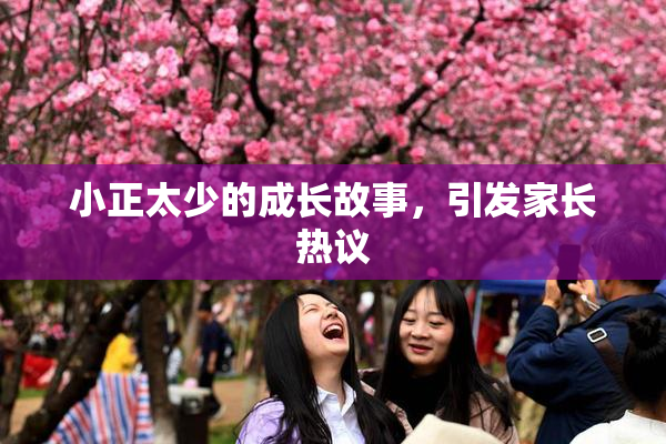 小正太少的成长故事，引发家长热议