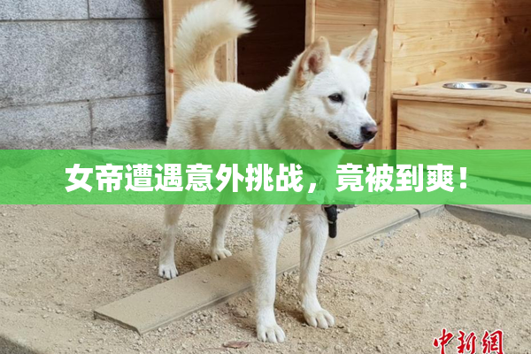 女帝遭遇意外挑战，竟被到爽！