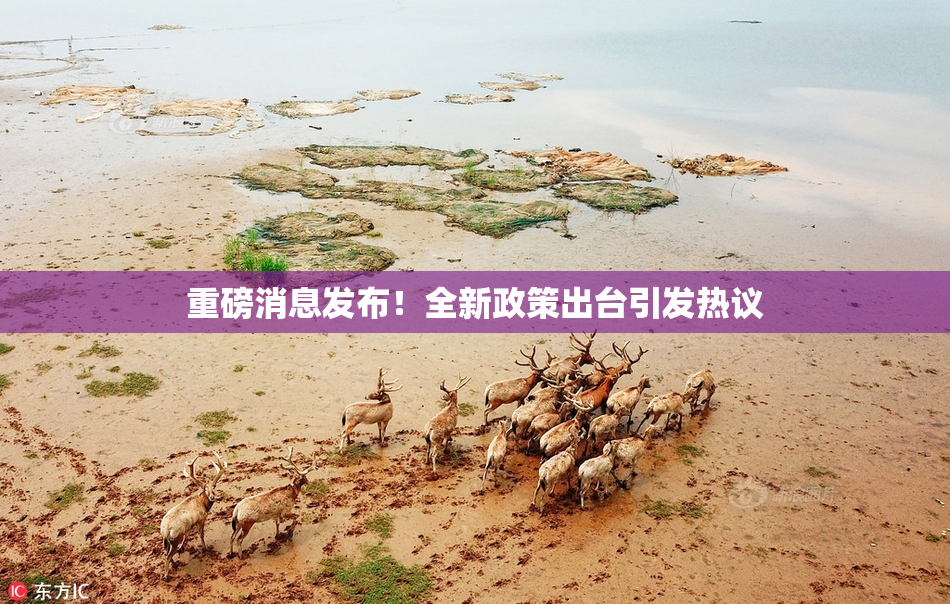 重磅消息发布！全新政策出台引发热议