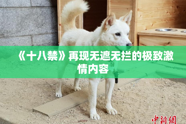 《十八禁》再现无遮无拦的极致激情内容