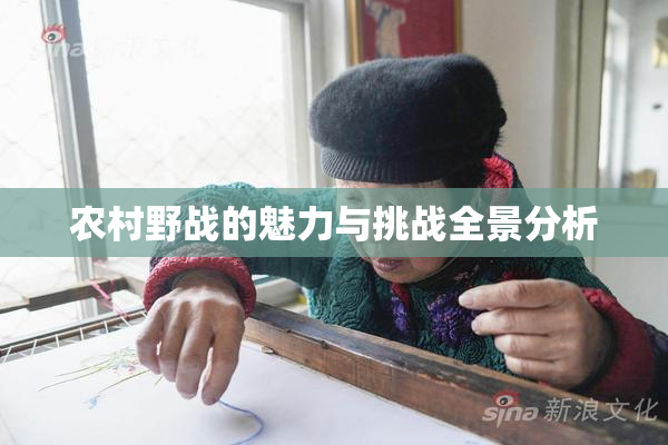 农村野战的魅力与挑战全景分析