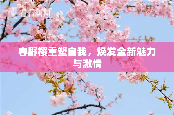 春野樱重塑自我，焕发全新魅力与激情