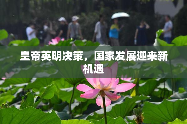 皇帝英明决策，国家发展迎来新机遇