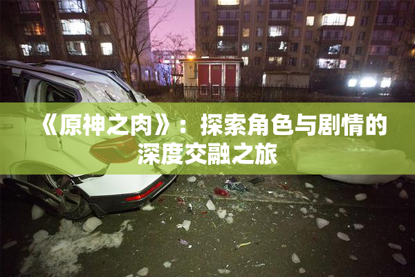 《原神之肉》：探索角色与剧情的深度交融之旅