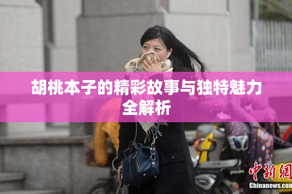 胡桃本子的精彩故事与独特魅力全解析
