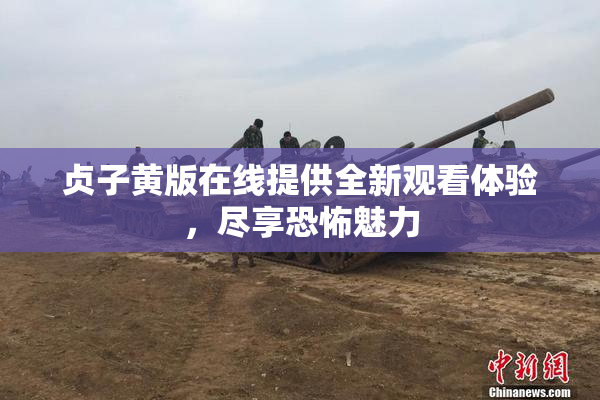 贞子黄版在线提供全新观看体验，尽享恐怖魅力