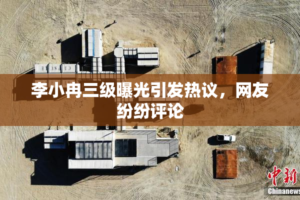 李小冉三级曝光引发热议，网友纷纷评论