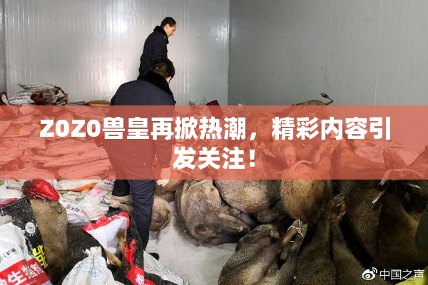 Z0Z0兽皇再掀热潮，精彩内容引发关注！