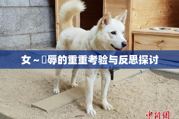 女～婬辱的重重考验与反思探讨