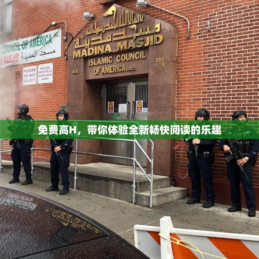 免费高H，带你体验全新畅快阅读的乐趣