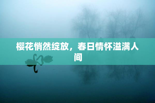 樱花悄然绽放，春日情怀溢满人间