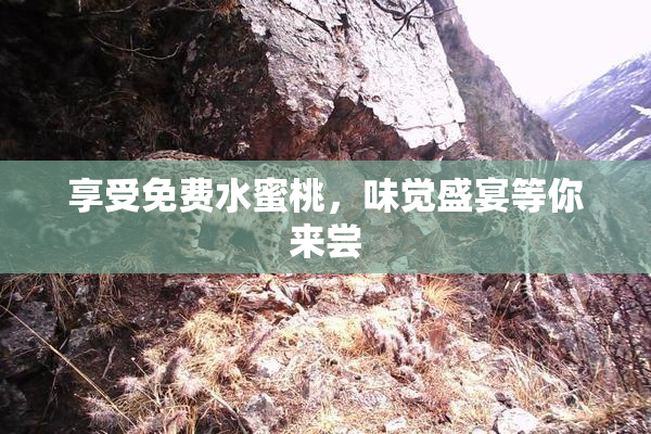 享受免费水蜜桃，味觉盛宴等你来尝