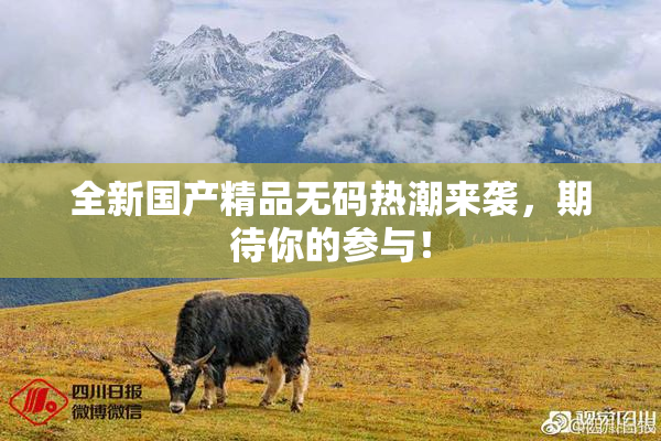 全新国产精品无码热潮来袭，期待你的参与！