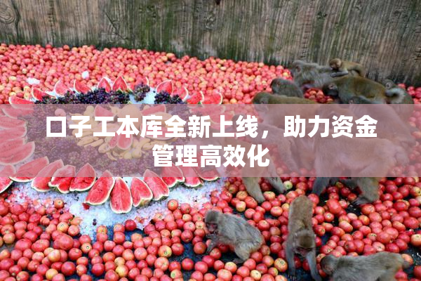 口子工本库全新上线，助力资金管理高效化