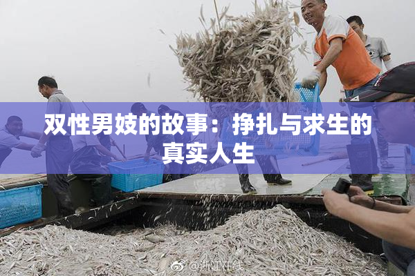 双性男妓的故事：挣扎与求生的真实人生