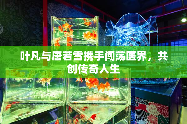 叶凡与唐若雪携手闯荡医界，共创传奇人生
