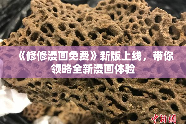 《修修漫画免费》新版上线，带你领略全新漫画体验
