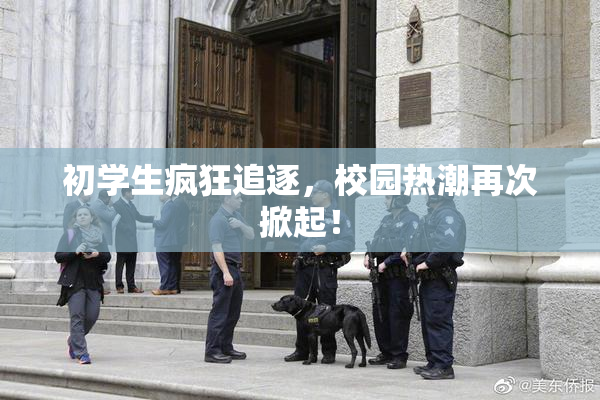 初学生疯狂追逐，校园热潮再次掀起！