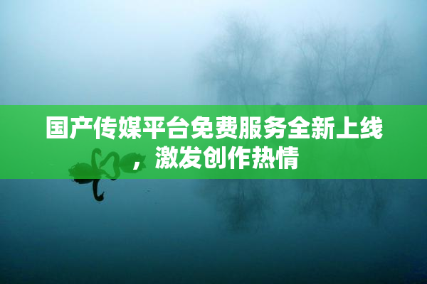 国产传媒平台免费服务全新上线，激发创作热情
