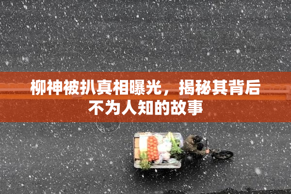 柳神被扒真相曝光，揭秘其背后不为人知的故事