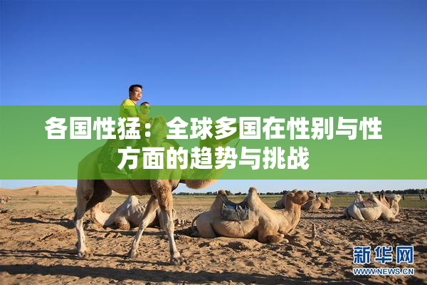各国性猛：全球多国在性别与性方面的趋势与挑战