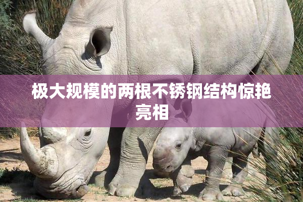 极大规模的两根不锈钢结构惊艳亮相