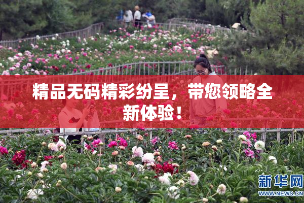 精品无码精彩纷呈，带您领略全新体验！