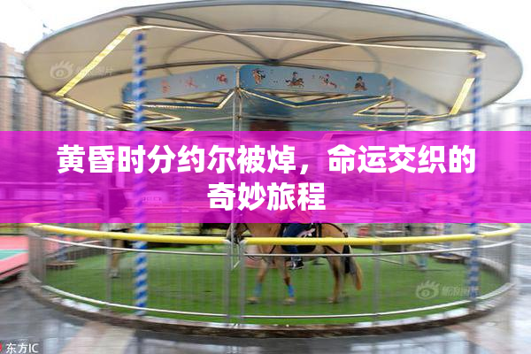 黄昏时分约尔被焯，命运交织的奇妙旅程