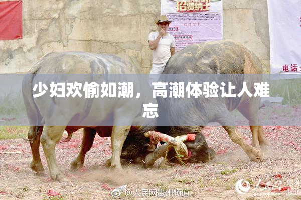 少妇欢愉如潮，高潮体验让人难忘