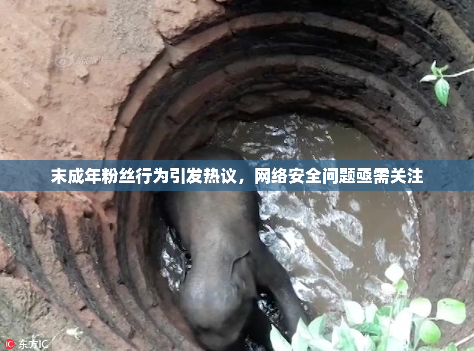 末成年粉丝行为引发热议，网络安全问题亟需关注