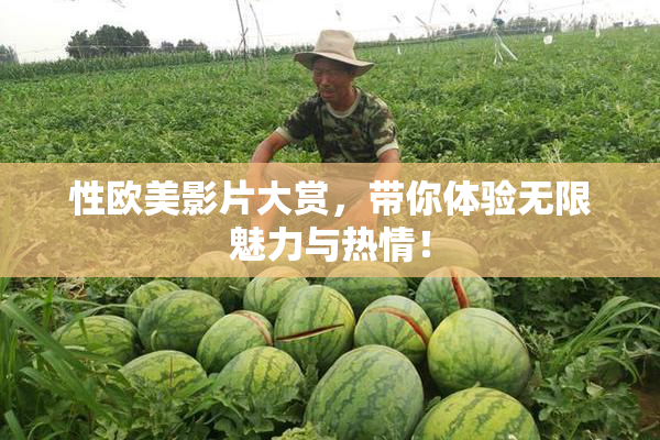 性欧美影片大赏，带你体验无限魅力与热情！