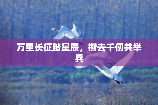 万里长征踏星辰，撕去千仞共举兵