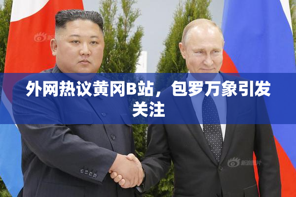 外网热议黄冈B站，包罗万象引发关注