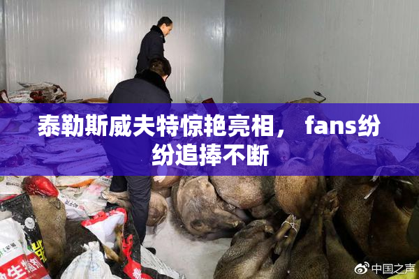 泰勒斯威夫特惊艳亮相， fans纷纷追捧不断