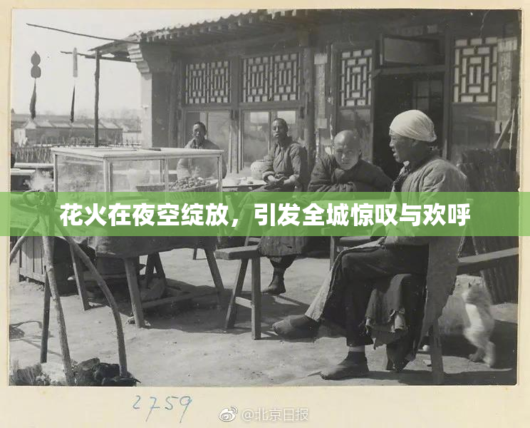 花火在夜空绽放，引发全城惊叹与欢呼