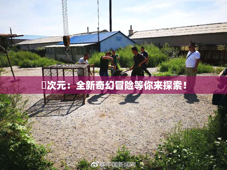 囧次元：全新奇幻冒险等你来探索！