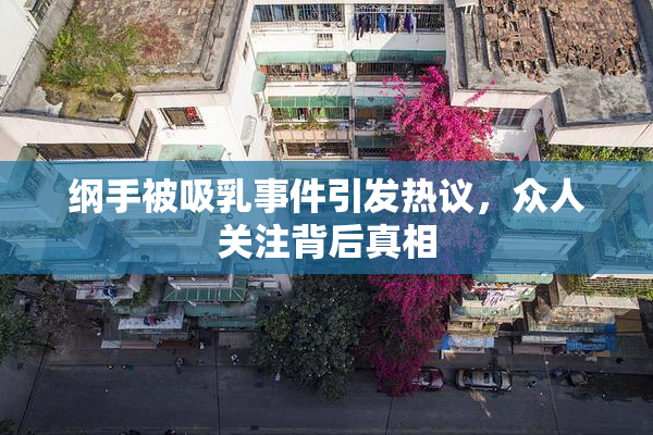 纲手被吸乳事件引发热议，众人关注背后真相