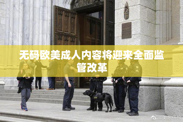 无码欧美成人内容将迎来全面监管改革