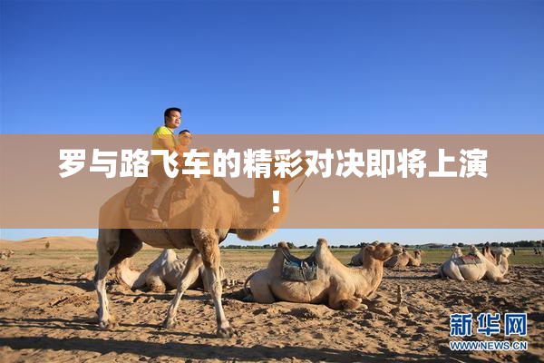 罗与路飞车的精彩对决即将上演！