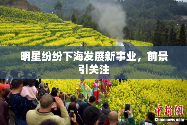 明星纷纷下海发展新事业，前景引关注